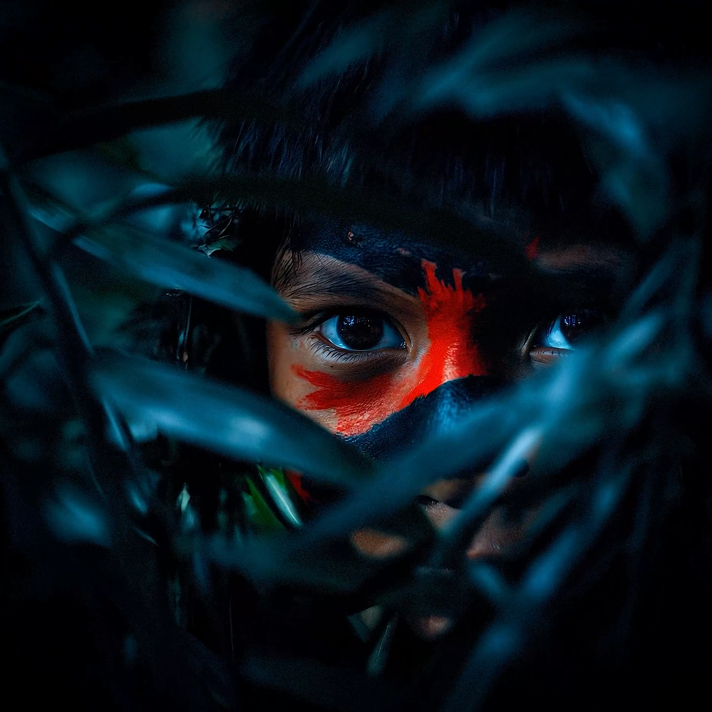 amazonia-bleeds (0-00-14-16) amazonia-bleeds (0-00-14-16)