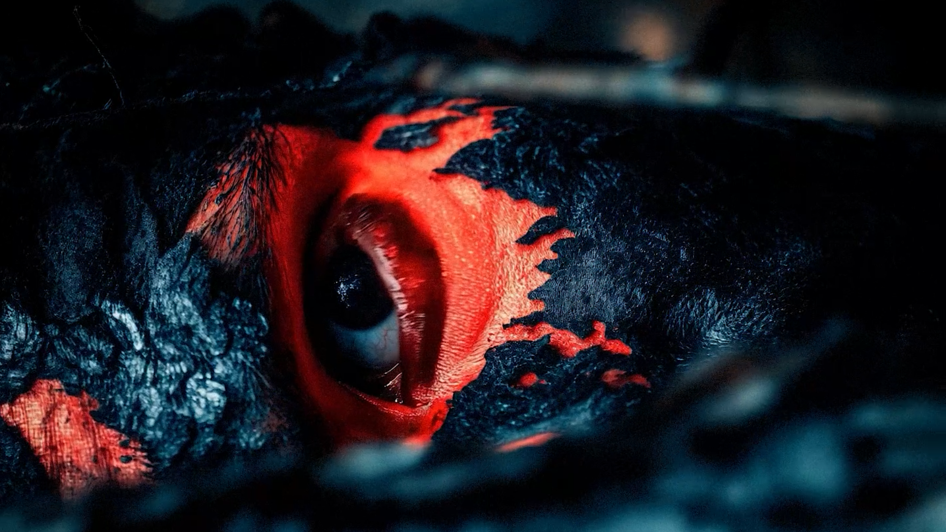 Amazon_Bleeds_CorsairAI_04